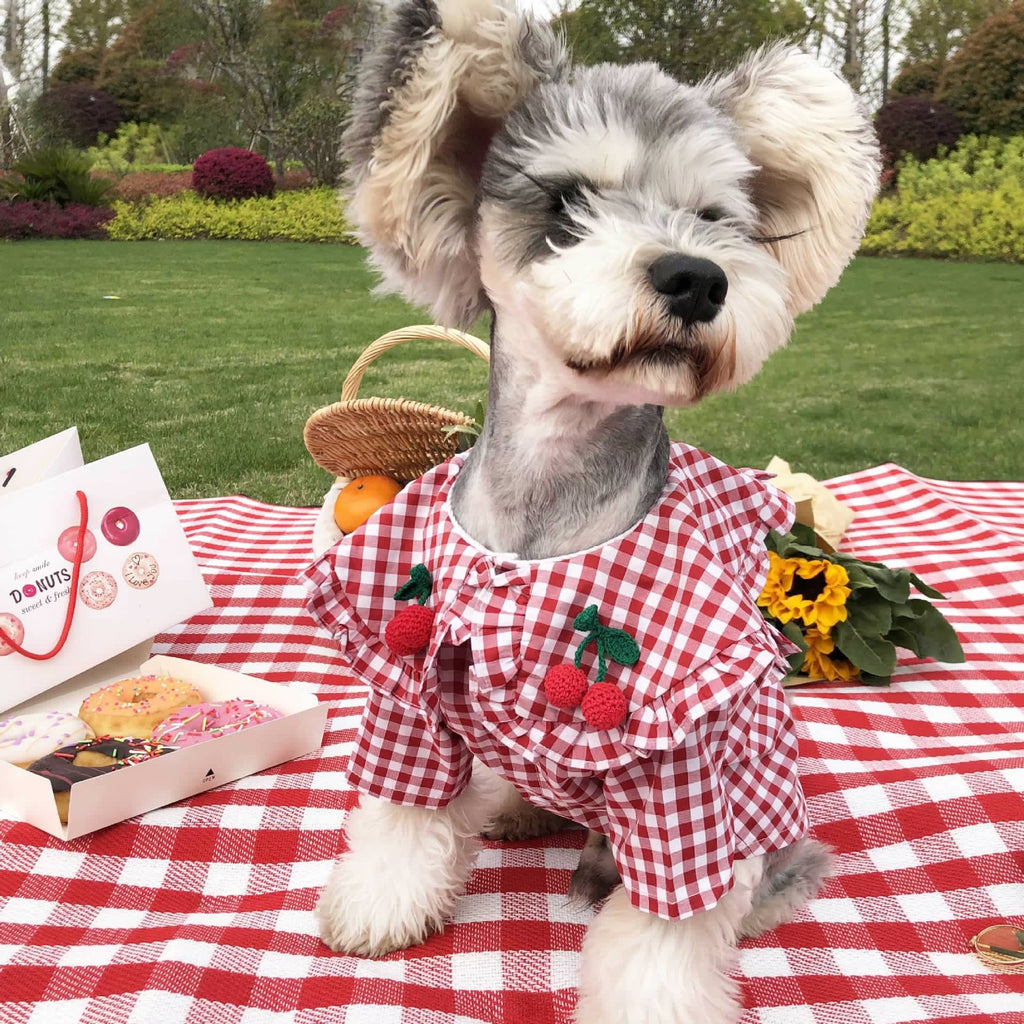Summer Thin Checkered Shirt for Small Dogs - Tail Wagger's Haven