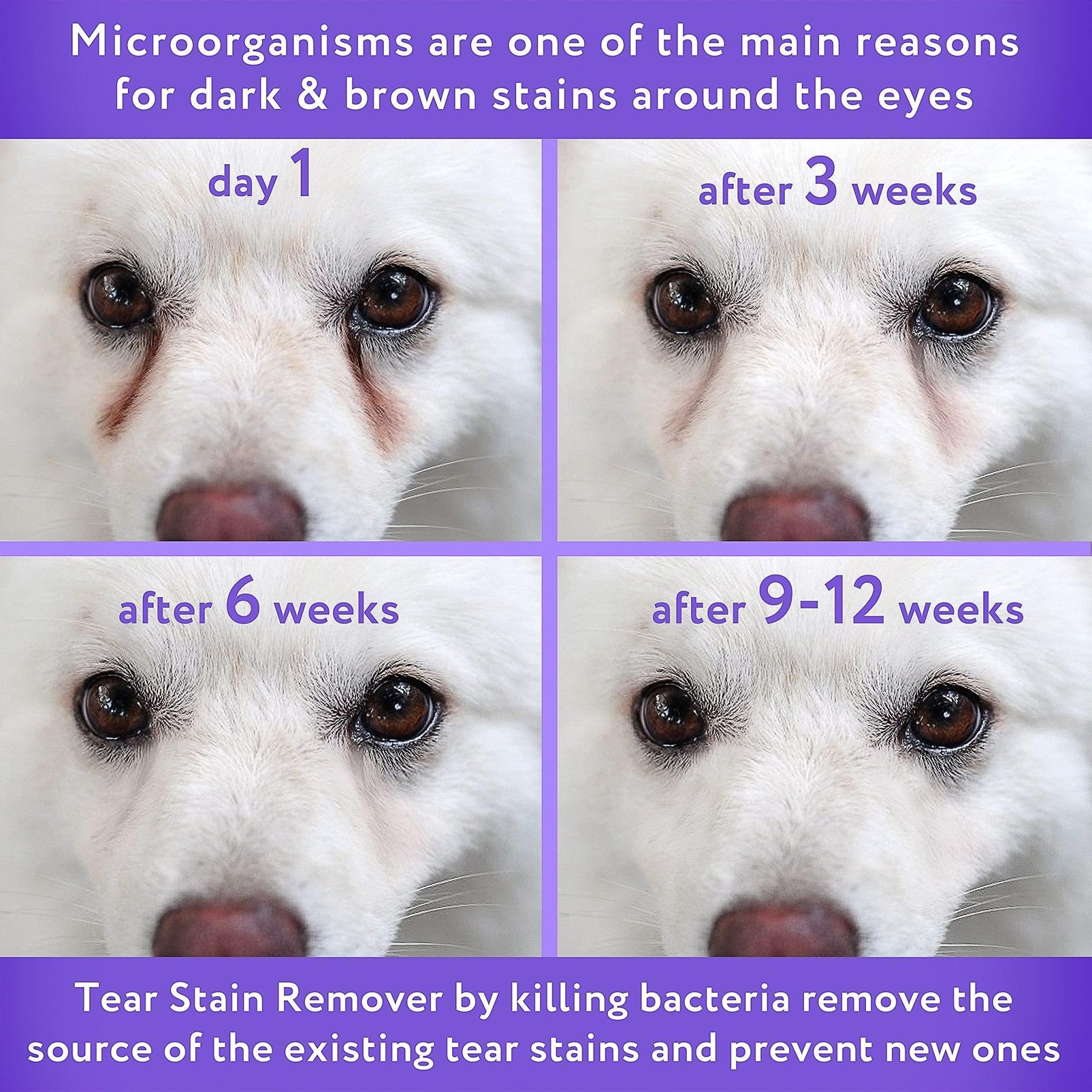 Tear Stain Remover Eye Stain Cleaner for Dogs & Cats with Natural Ingredients - Tail Wagger's Haven