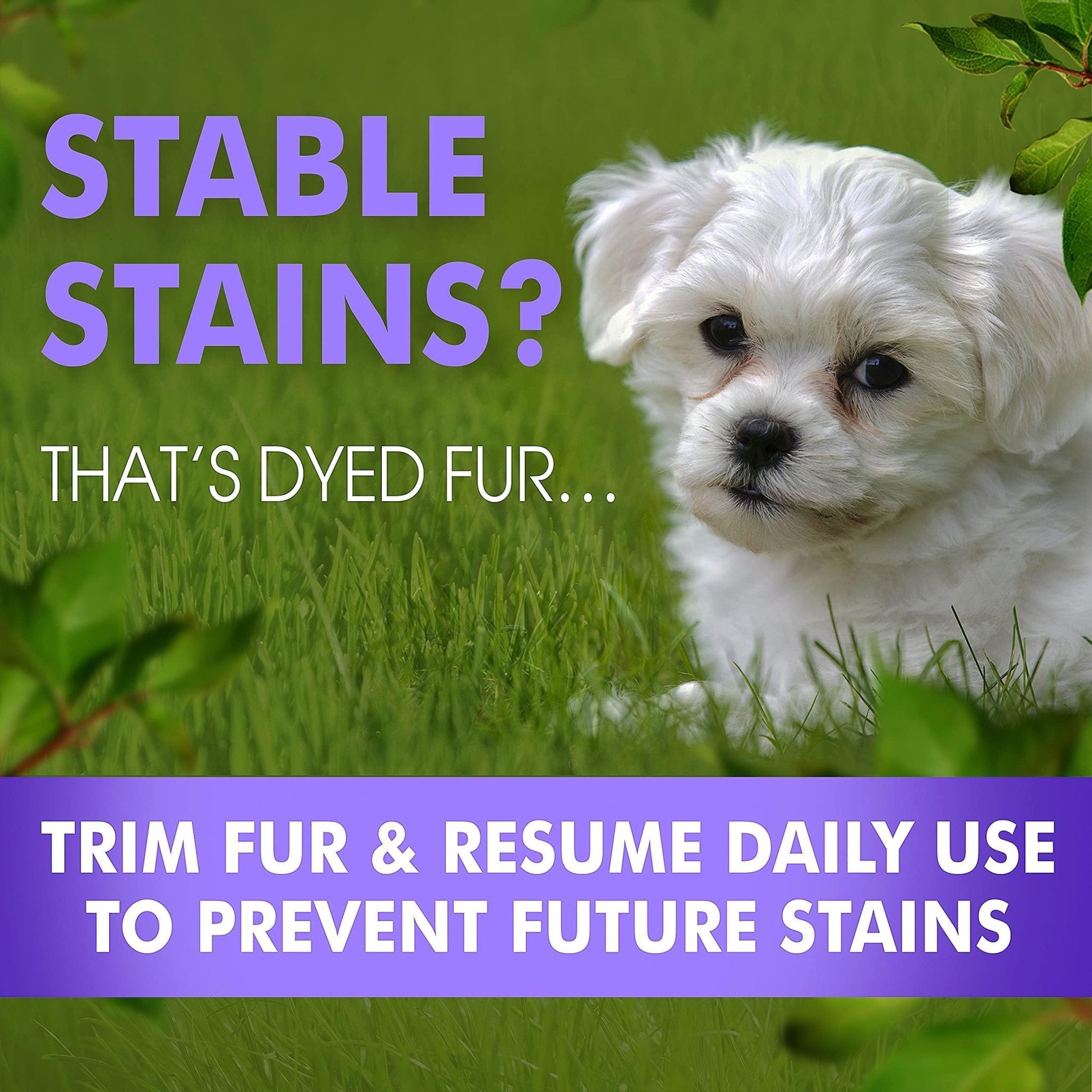 Tear Stain Remover Eye Stain Cleaner for Dogs & Cats with Natural Ingredients - Tail Wagger's Haven