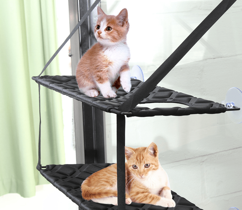 Window - Mounted Cat Hammock with Suction Cups (Single/Double) - Tail Wagger's Haven